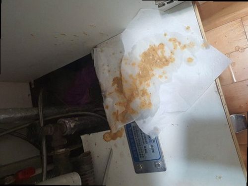 유성구 전민동 하수구막힘 하수구 역류 해결 직접 살펴보니 알게 된 점